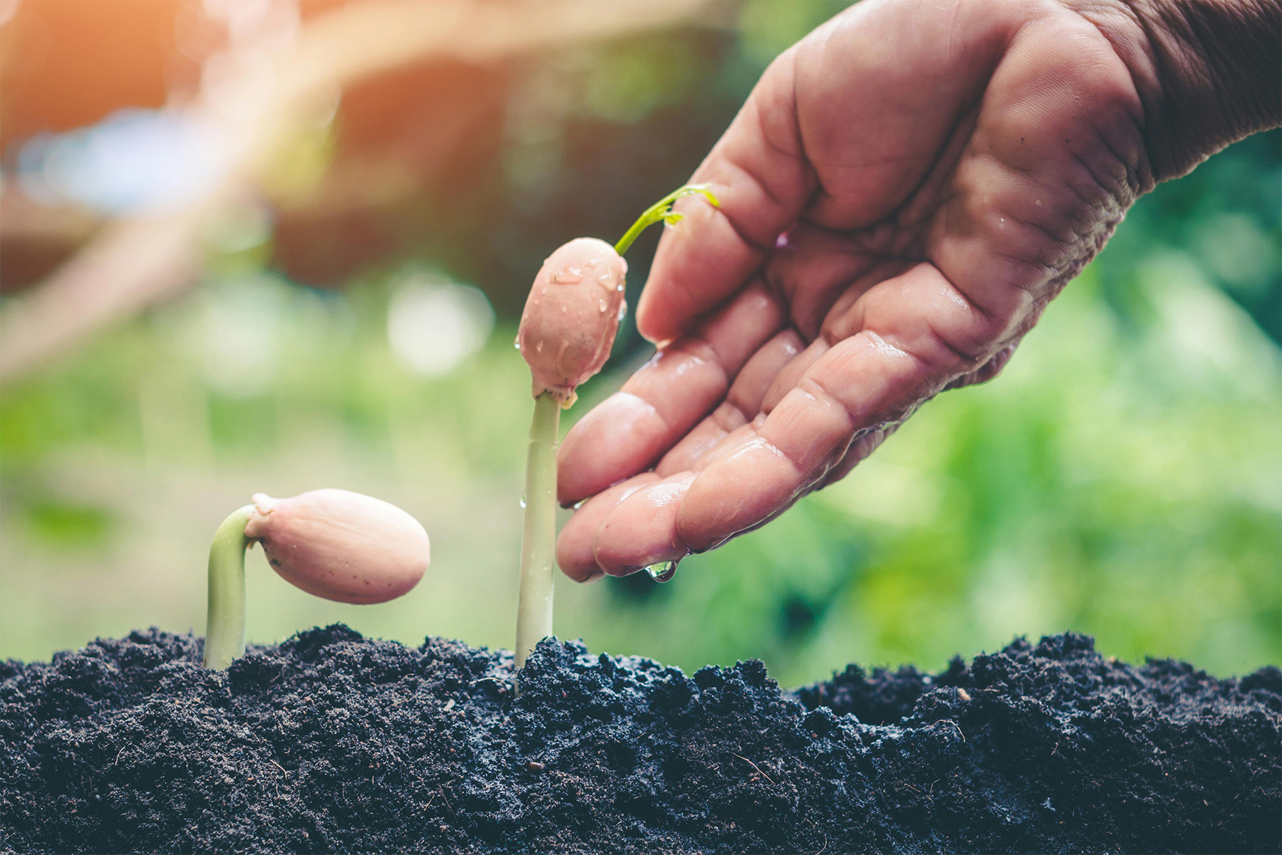 Semer l’avenir,
cultiver la vie