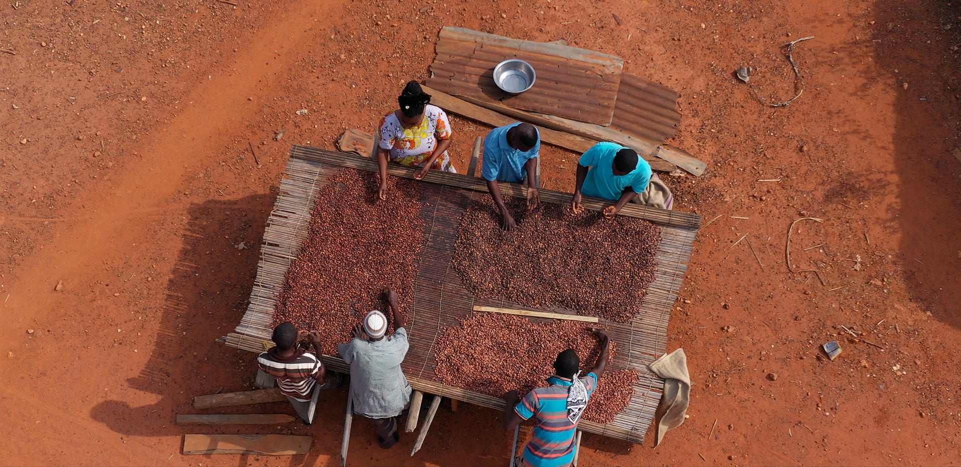 Faire progresser l’innovation dans l’agriculture pour un avenir durable