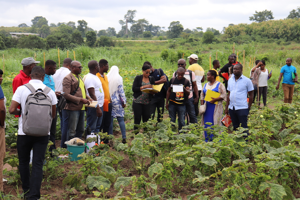 RAP Session Aout 2022-19